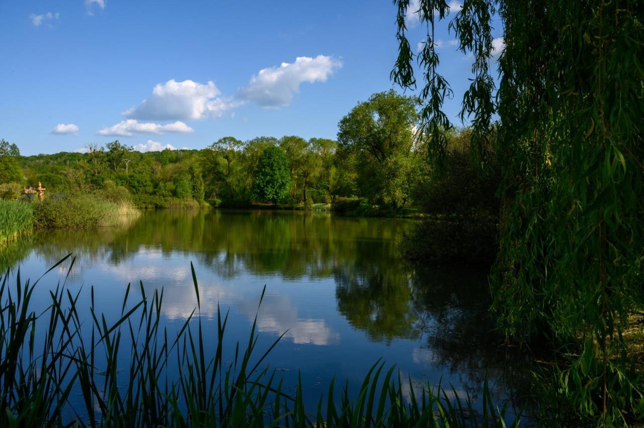 Domaine De Lardoisiere Hotell Château-Salins Exteriör bild